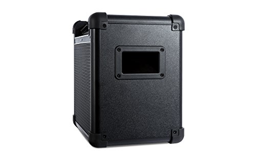 ION Audio Tailgater 2016 | Kompaktes Bluetooth Aktiv Lautsprecher System mit Mikrofon und Radio - 1