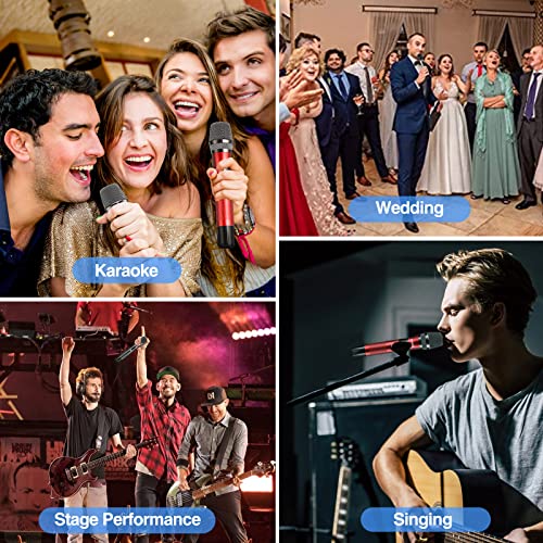 LEKATO Kabelloses Doppelmikrofon